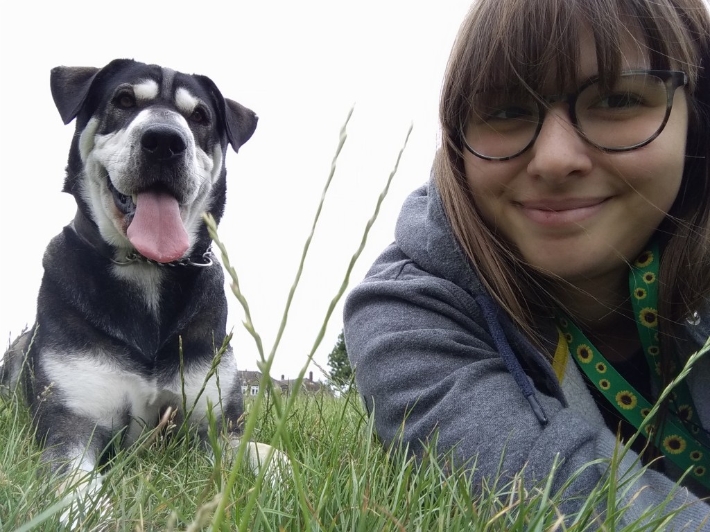 a dog walker in chelmsford walking a husky mix
